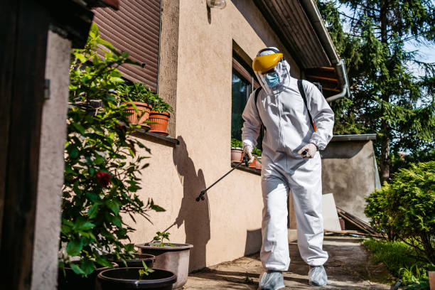Best Flea Control Services  in Grape Creek, TX
