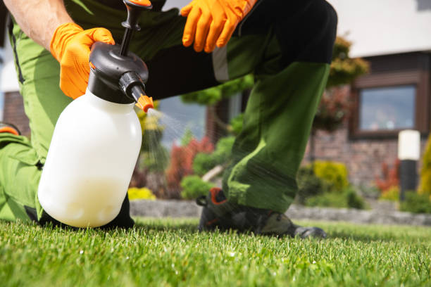 Best Pest Removal Services  in Grape Creek, TX