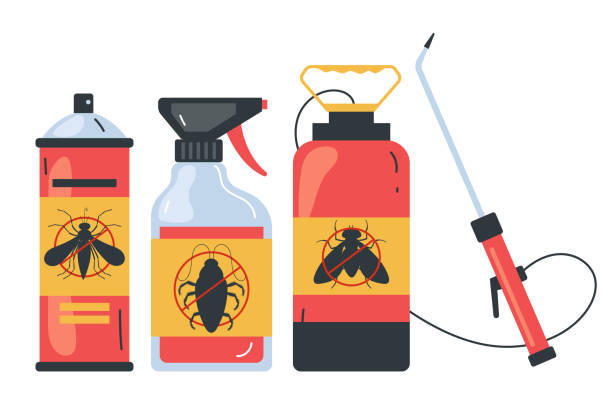 Best Local Pest Control Services  in Grape Creek, TX