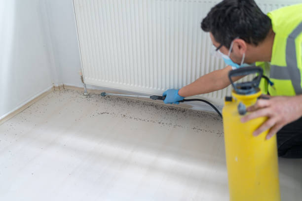 Best Ant Control Services  in Grape Creek, TX